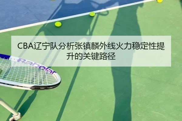 CBA辽宁队分析张镇麟外线火力稳定性提升的关键路径