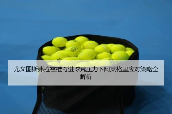 尤文图斯弗拉霍维奇进球荒压力下阿莱格里应对策略全解析
